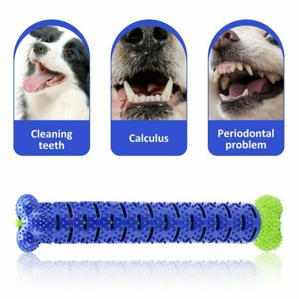 Dog Chew Toys Toothbrush Stick – Fun, Safe & Healthy Teeth for Your Pup! - Shop Ornavi