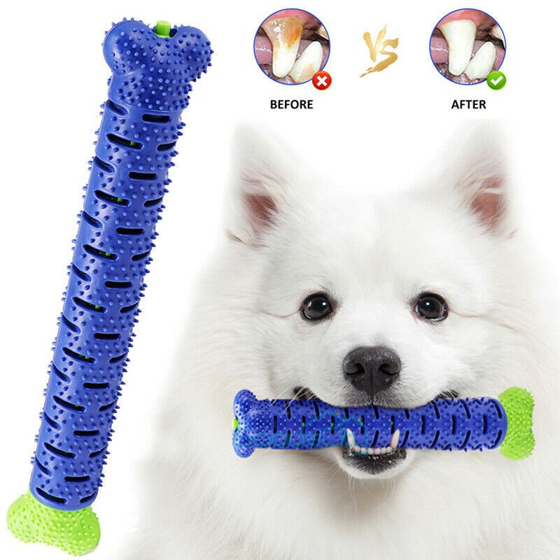 Dog Chew Toys Toothbrush Stick – Fun, Safe & Healthy Teeth for Your Pup! - Shop Ornavi