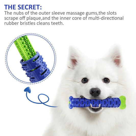 Dog Chew Toys Toothbrush Stick β Fun, Safe & Healthy Teeth for Your Pup! - Shop Ornavi