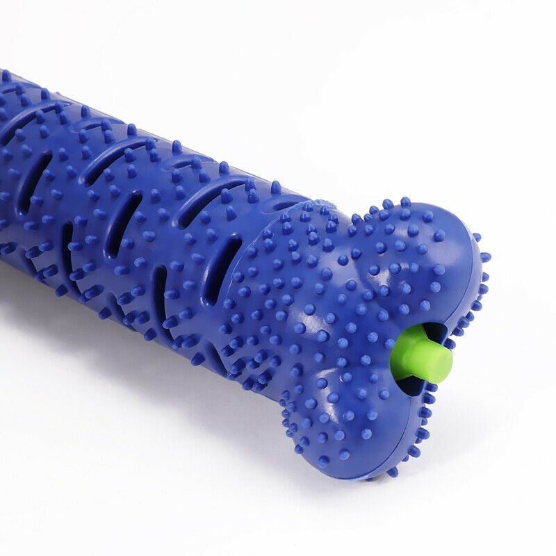 Dog Chew Toys Toothbrush Stick – Fun, Safe & Healthy Teeth for Your Pup! - Shop Ornavi