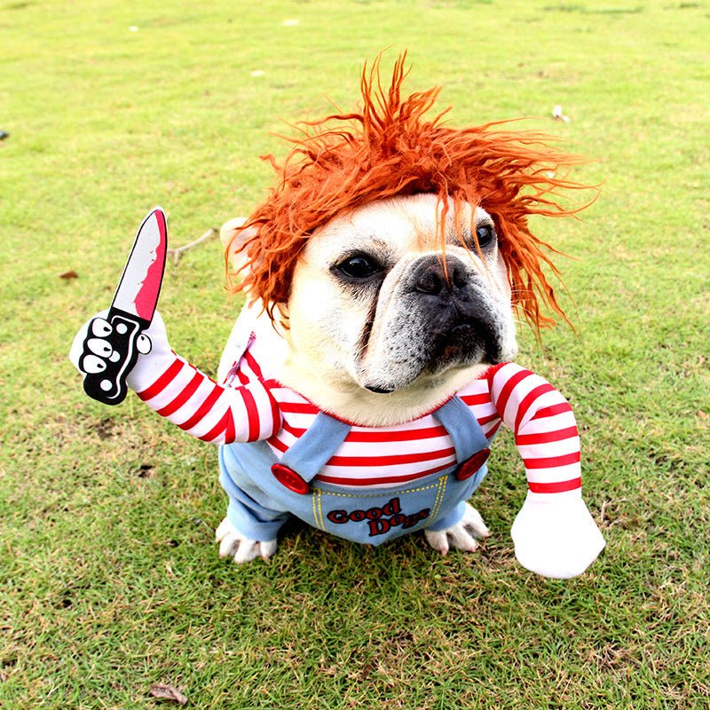 ScarePaw Pet Costume - Shop Ornavi