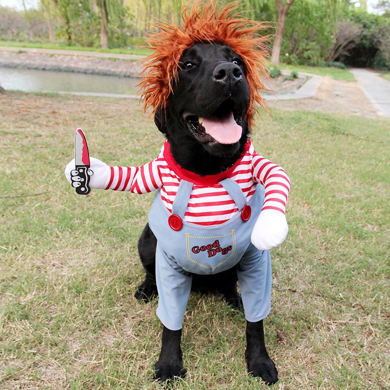ScarePaw Pet Costume - Shop Ornavi