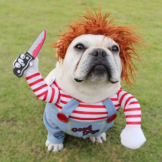 ScarePaw Pet Costume - Shop Ornavi