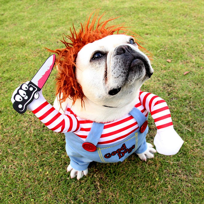 ScarePaw Pet Costume - Shop Ornavi