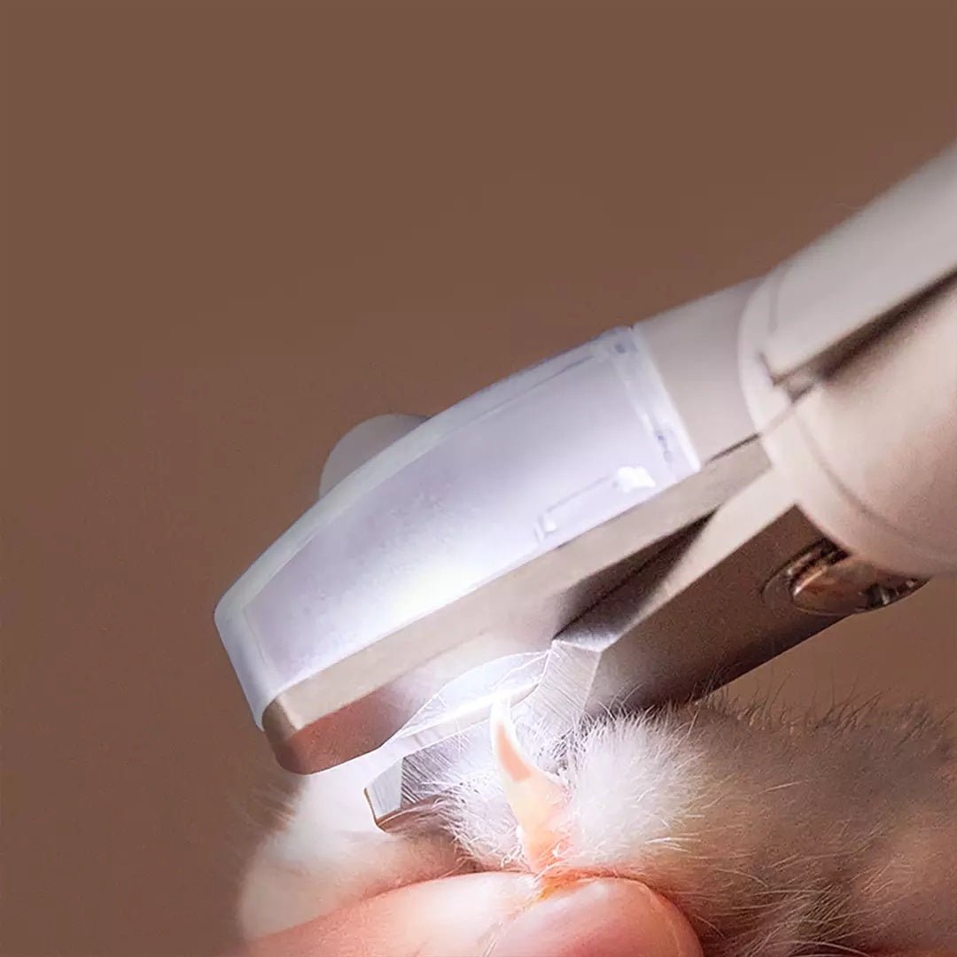 Professional LED Pet Nail Clipper Scissors - Shop Ornavi