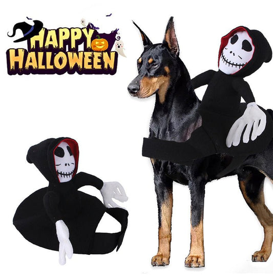 PumpPaw Halloween Outfit - Shop Ornavi