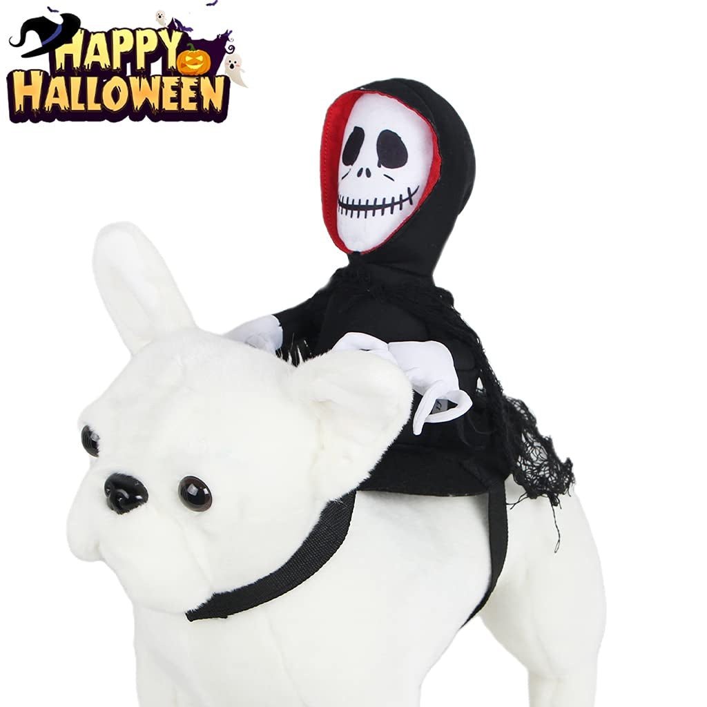 PumpPaw Halloween Outfit - Shop Ornavi