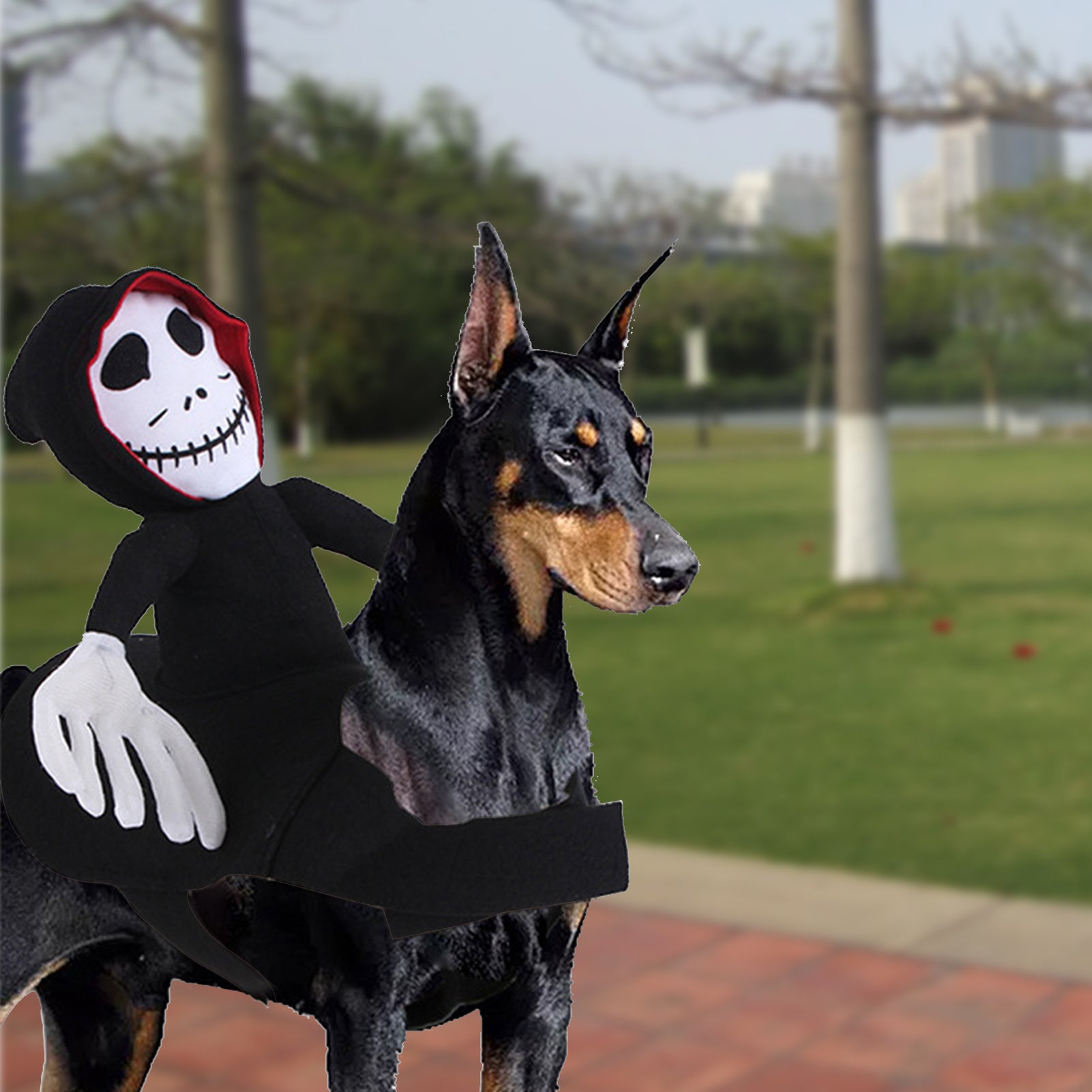 PumpPaw Halloween Outfit - Shop Ornavi