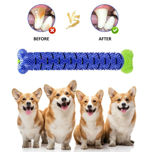 Dog Chew Toys Toothbrush Stick – Fun, Safe & Healthy Teeth for Your Pup! - Shop Ornavi