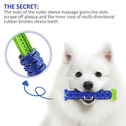 Dog Chew Toys Toothbrush Stick – Fun, Safe & Healthy Teeth for Your Pup! - Shop Ornavi