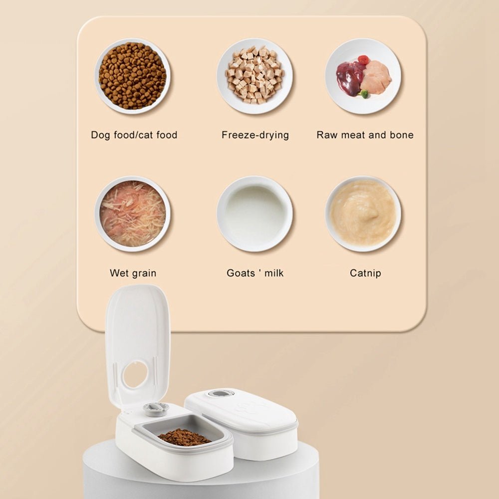Automatic Pet Feeder Smart Food Dispenser For Cats Dogs Timer Stainless Steel Bowl Auto Dog Cat Pet Feeding Pets Supplies - Shop Ornavi