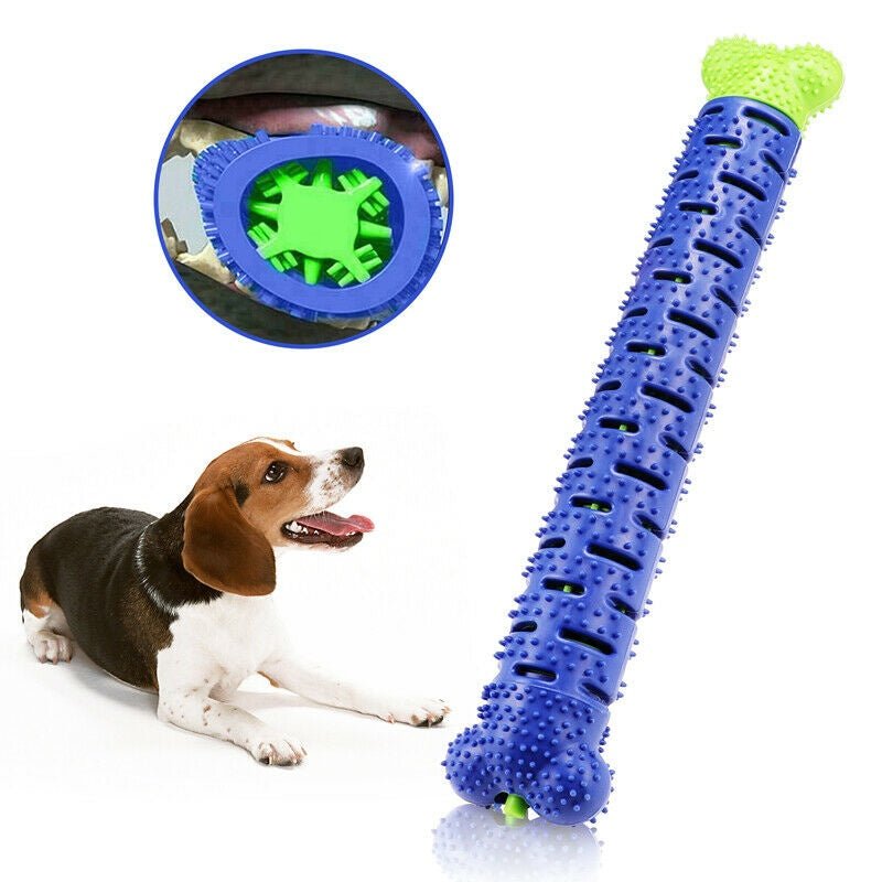 Dog Chew Toys Toothbrush Stick – Fun, Safe & Healthy Teeth for Your Pup! - Shop Ornavi