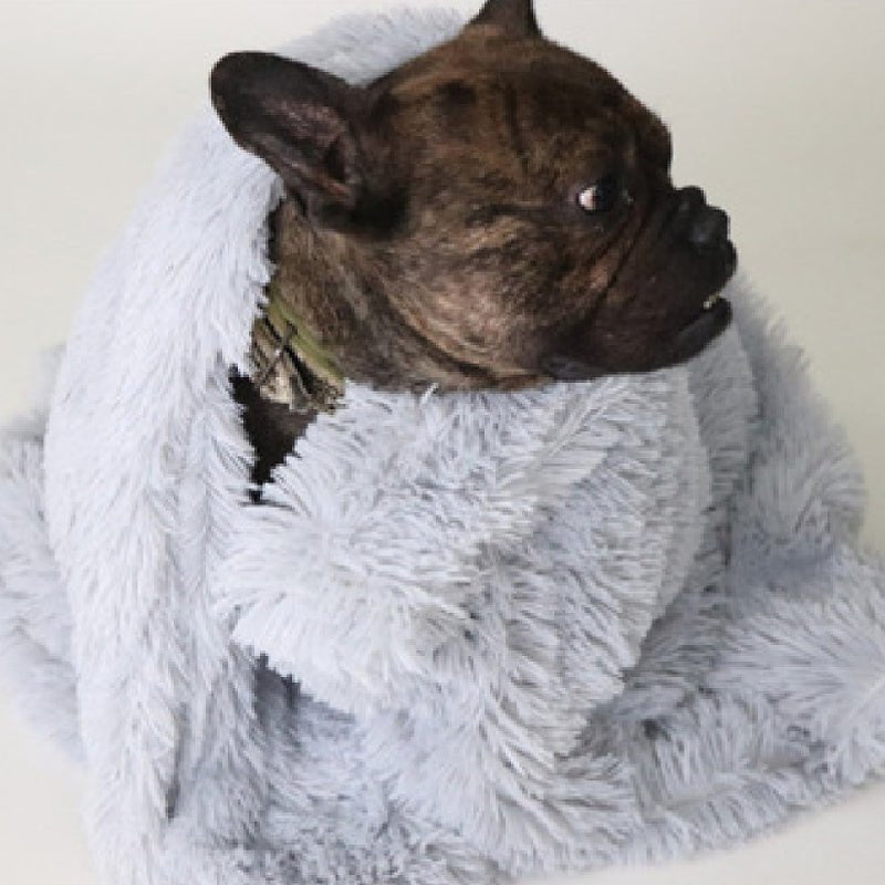 Pet Dog Cat Blanket – Soft Plush, Warm & Durable - Shop Ornavi