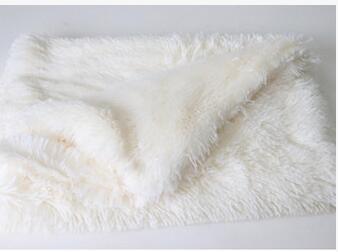 Pet Plush Blanket - Shop Ornavi