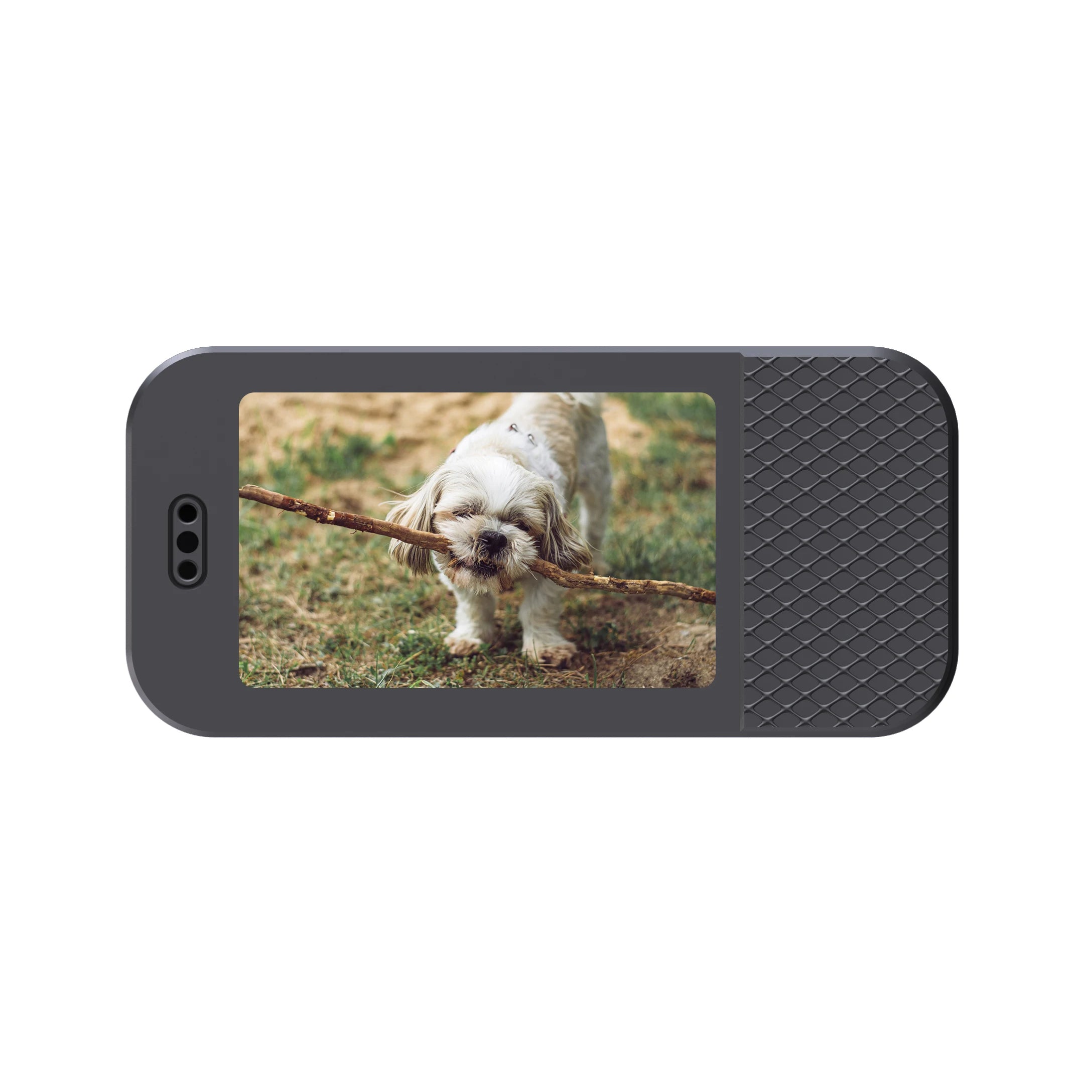 HD 1080P Pet Cameras Outdoors Wireless Collar Camera No WiFi Needed Video Records for Cats Dogs Birthday Gift Mini Camera