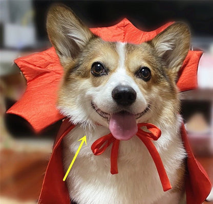Spooky Vampire Pet Cape - Shop Ornavi
